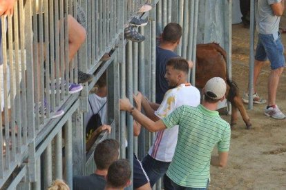 Denuncian los correbous por deficiencias en el cadalso y por vender bebidas alcohólicas