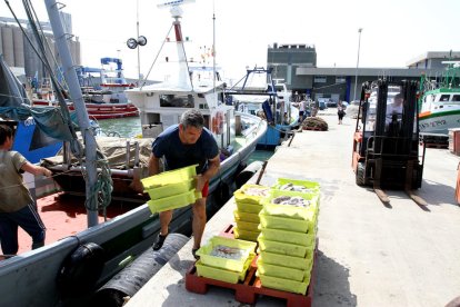 La comercialización del pescado es uno de los puntos destacados de la candidatura de Ortiz.