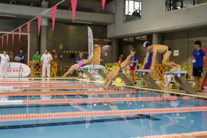 Una imatge de la natació, , a la piscina del Reus Deportiu.