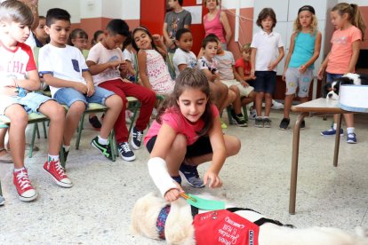 Los perros ayudan a los niños en el primer día de clase.