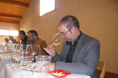 Consejo Regulador de la Denominación de Origen Denominada Priorat