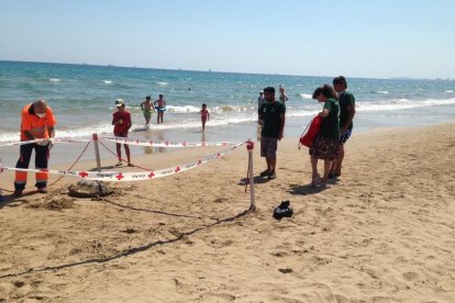 Los socorristas acordonaron la zona para que nadie tocara el cuerpo de la tortuga hasta la llegada de los técnicos.