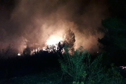 Imatge de la zona que ha cremat a l'incendi.