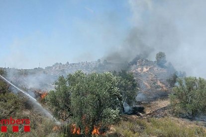 Una imatge de l'incendi.