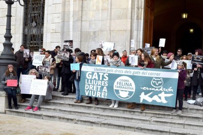 L'acte ha servit per recordar que els gats de carrer tenen els mateixos drets que qualsevol animal de companyia.