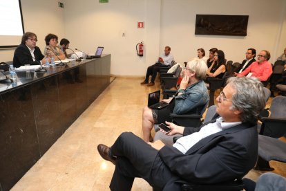 Prop de cinquanta professionals van participar en la reunió celebrada en el Museu d'Art Modern.