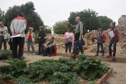 Imatge retrospectiva d'una visita guiada a la Vil·la romana dels Munts.