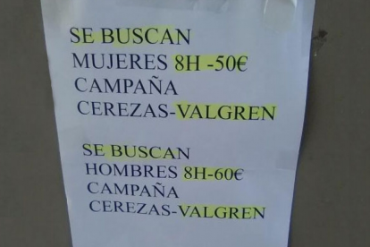 Imatge del cartell incial.