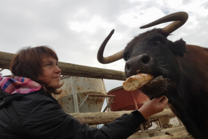 Moltes persones s'han mobilitzat per intentar salvar la vaca.