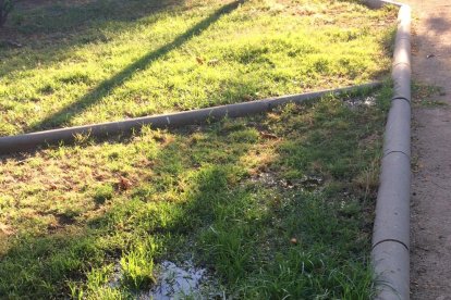 Acumulació d'aigua de rec en una de les arquetes ubicades al Prac del Francolí.