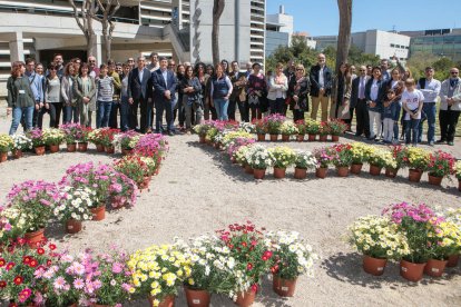 El jardí és una iniciativa de la URV i de Repsol.