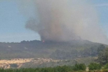 El foc ha cremat zona agrícola, pi blanc i matoll.