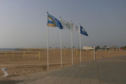 Imatge de la bandera Ecoplayas 2017 d'una de les platges de Torredembarra.