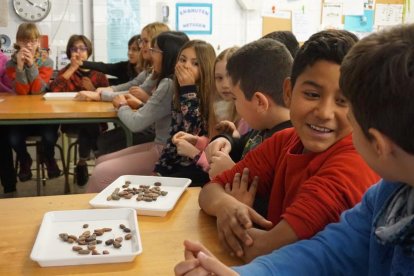 Una de las primeras sesiones que hicieron los alumnos fue el taller 'Descifrando el ADN del cacao'.