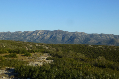 La Serra del Montsià, vista des de la Serra de Godall, en una fotografia del Facebook de Salvem lo Montsià.