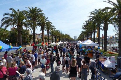 El Passeig Jaume I durant Sant Jordi.