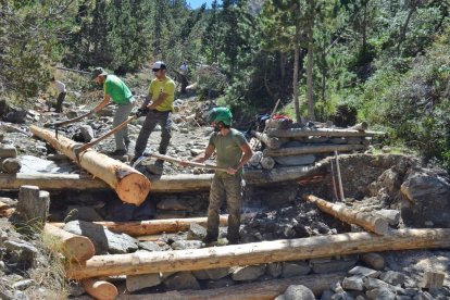 Imagen de voluntarios del proyecto Bosques de Montaña trabajando en el bosque en una edición del 2016.