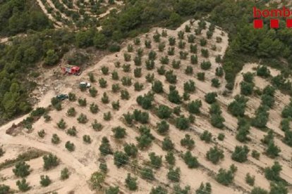 Una imatge aèria dels Bombers al lloc de l'incendi