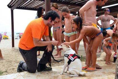 Els gossos de la unitat rastregen la persona desapareguda a partir d'un objecte que hagi estat en contacte amb ella.