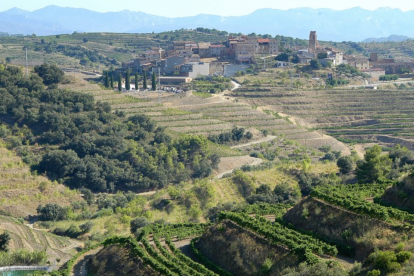 L'accident s'ha produït en un camí rural de Gratallops.