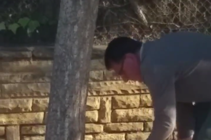 El hombre se dispuso a talar el árbol sin ningún tipo de señalización.