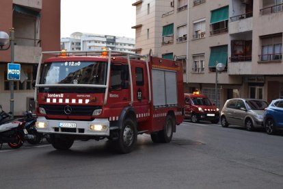 Los Bombers sólo se han movilizado en el que ha sido el segundo aviso del día sobre gatos.