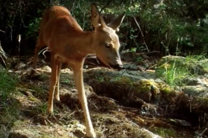 Un fotograma de la película documental.