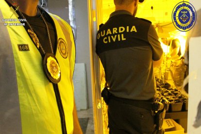 L'operació policial ha estat conjunta entre la Guàrdia Civil i la Policia Local.