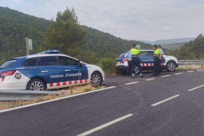 Pla obert del control policial dels Mossos a la sortida d'un dels camins principals d'accés a la festa 'rave' il·legal de Querol.