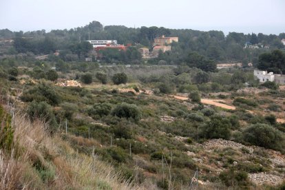 El nou barri projectat es construirà en aquesta zona que va des de les instal·lacions del Nàstic fins a la urbanització de Boscos.