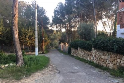 Imagen de la principal avenida de la urbanización del Pinatell.