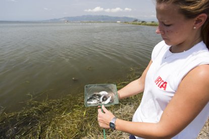 Permitirá dar un uso sostenible y respetuoso con el medio natural a peces que fueron utilizados con finalidades experimentales