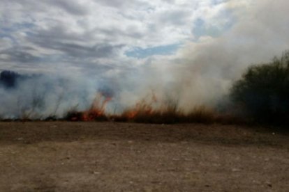 L'incendi avança ràpidament, segons fonts presencials.