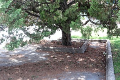 Aspecte que oferia ahir dijous la plaça Alcalde Lloret.