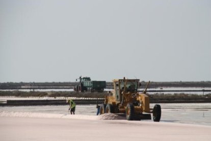 Un treballador d'Infosa treballant, al costat d'un tractor, a les Salines de la Trinitat.