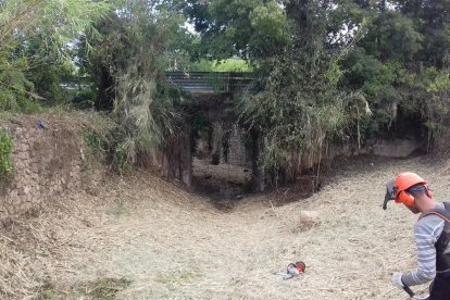 Un treballador retirant vegetació en el marc d'aquesta actuació de l'ACA.