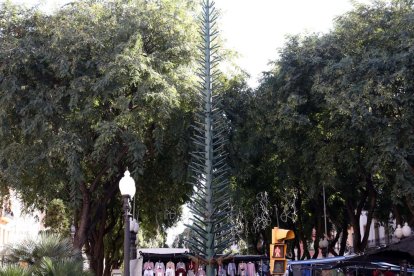 L'esquelet de l'arbre de Nadal