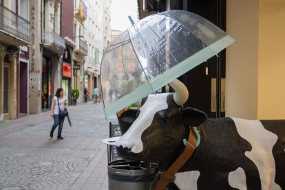 Si plou, que no es mulli la vaca