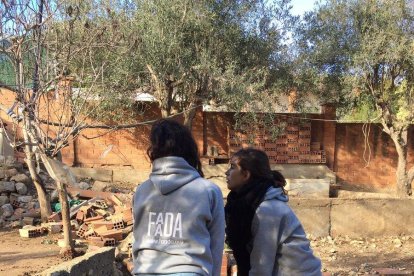 Tècniques de FADAA treballant a la finca amb els animals adormits.