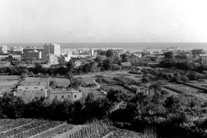 Vista de las huertas que rodeaban la ciudad a inicios de los años cincuenta, casi junto a la Plaza de Toros.