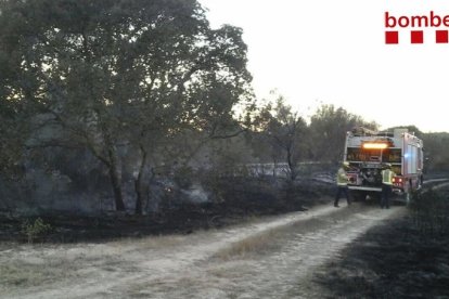 Imatge de la zona del incendi al Catllar.