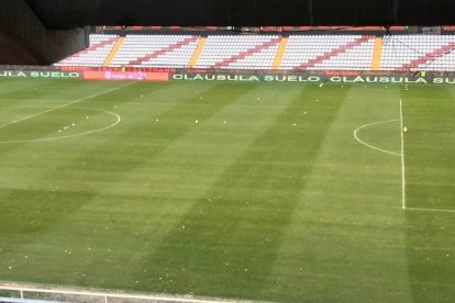 L'Estadi de Vallecas, abans d'iniciar el duel.