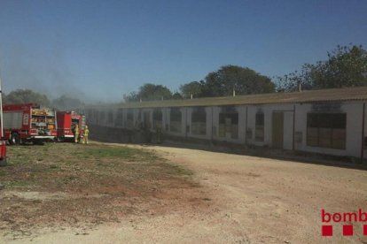 El incendio se produjo cuando no había animales dentro de la granja de pollos.