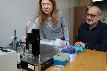 Los investigadores Lluís Marsal y Elisabet Xifré, ante el aparato de espectroscopia de reflectancia interferométrica que han utilizado para desarrollar el sensor, un método óptico que permite detectar niveles de señal ínfimos.