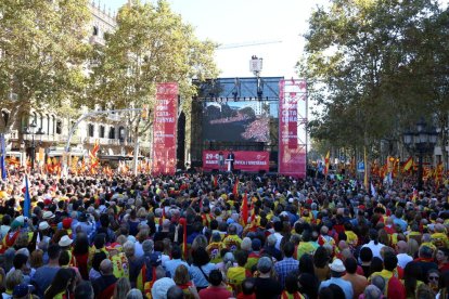 Imatge de la manifestació organitzada per SCC aquest diumenge.