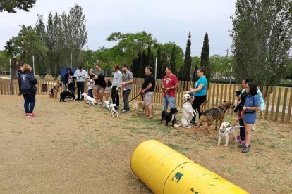 Compta amb un total de 1.012 metres quadrats