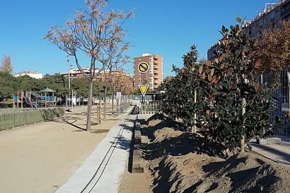 Imagen de los árboles plantados en el parque del Ferrocarril de Reus.