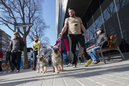 Una imatge d'arxiu d'una passejada de gossos al municipi.