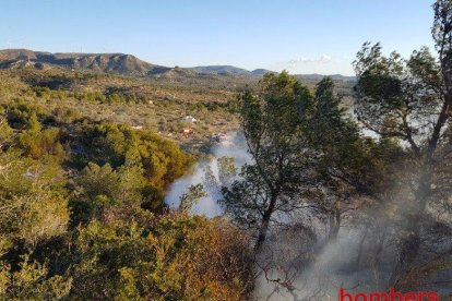 El foc crema massa forestal i un camp d'oliveres a la zona de les Barraques.