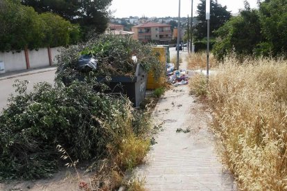 Un contenidor ple de restes de poda.